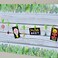 Youngever 525 ft Bulletin Board Borders for Classroom Decoration Tropical Theme