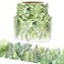 Youngever 525 ft Bulletin Board Borders for Classroom Decoration Tropical Theme