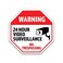 OGO Wholesale 2Pack Warning 24 Hour Video Surveillance No Trespassing Vinyl Decal Sticker Sign 5Inch Premium Quality Vinyl Decal Laminated with UV Protective Laminate OS2746