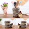 Lependor Cute Hedgehog Desk Pen Pencil Pot Holder Toothbrush Holder Resin Desktop Organizer Container Stationery Storage Office Desk Decoration Study Bookshelf Decor Work