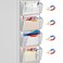 LQPAFZ 4PCS Magnetic File Holder No Drilling Magazine Paper Document Holder Hanging File Organizer for Refrigerators Whiteboards File Cabinets