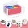 RIEJIN 13 Pocket A6 Receipt Organizer 2 Pack Small Accordion File Organizer Coupon Organizer with Labels Clear