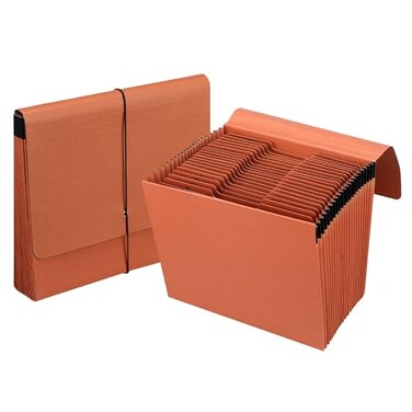 YNXPTBNC Heavy Duty Expanding File Folder Organizer21 Pockets Accordion File OrganizerAZ13 Cut TabsLetter Size175Inch Expansion
