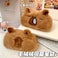 HSYHERE Novelty Funny Calm Down Soft Plush Brown Capybara Big Mouth Green Frog Soft Stuffed Surface Fluffy Clothes Zipper Pencil Box Pencil Case Pencil Storage Holder Pouch Pen Bag Snival Capybara