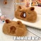 HSYHERE Novelty Funny Calm Down Soft Plush Brown Capybara Big Mouth Green Frog Soft Stuffed Surface Fluffy Clothes Zipper Pencil Box Pencil Case Pencil Storage Holder Pouch Pen Bag Snival Capybara