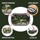 ZIPIT Clear Top Pencil Case for Kids Durable Pencil Box for School Large Capacity Stationery Organizer Box Camo