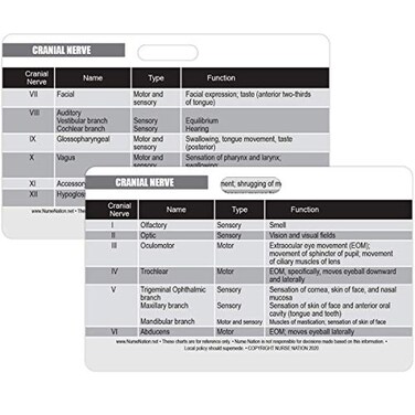 Nurse Nation Cranial Nerve Chart Reference Horizontal Badge Card Excellent Resource for Nurses Nursing Clinicals and RN Students Great Nursing School Supplies