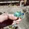 Heyah Blue Bling Elephant Badge Reel Retractable Badge Holder with Belt Clip IDName Badge Clip for Women Nurse
