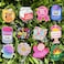 Hotlea 12 PCS Funny Badge Reels Bulk Cute Nurse Badge Holders Retractable Id Clip Colorful Nursing Medical Asssitants RN LPN CNA Buddy Accessories for Work