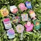 Hotlea 12 PCS Funny Badge Reels Bulk Cute Nurse Badge Holders Retractable Id Clip Colorful Nursing Medical Asssitants RN LPN CNA Buddy Accessories for Work