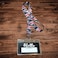 LanyardLanyard Japanese Art Lanyard Keychain ID Badge Holder Red Black Scenic Crane Cherry Blossom Seigaiha Wave Pattern Neck Strap for Work Office Women Men