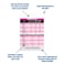 Nurse Nation Pediatric Vital Signs Vertical Badge Card Excellent Resource for Pediatric Nurses Nursing Clinicals and RN Students Great Nursing School Supplies and Accessories
