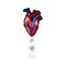 Rockapatch Valentines Day Cardiology Anatomy Heart Retractable Name Card Badge Holder Reel with Alligator Clip 24 inches Thick Pull Cord