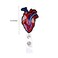 Rockapatch Valentines Day Cardiology Anatomy Heart Retractable Name Card Badge Holder Reel with Alligator Clip 24 inches Thick Pull Cord