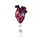 Rockapatch Valentines Day Cardiology Anatomy Heart Retractable Name Card Badge Holder Reel with Alligator Clip 24 inches Thick Pull Cord