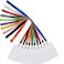 YOUOWO 10 Pack 10 Colors Lanyards with Vertical Badge HoldersNeck Office Coloured LanyardContains White Lanyard