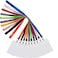 YOUOWO 10 Pack 10 Colors Lanyards with Vertical Badge HoldersNeck Office Coloured LanyardContains White Lanyard