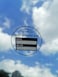 Poskornwel 2 inch Black 102 PCS Next Service Due Static Cling Labels Easy Remove Oil Change Stickers Static Cling Windshield Labels