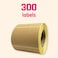 TownStix 300 Pack 3 x 2 Kraft Brown Natural Labels Stickers Roll