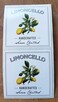 Nancy Nikko Limoncello Labels Shadow Style 2 X 2 Square 12