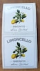 Nancy Nikko Limoncello Labels Shadow Style 2 X 2 Square 12