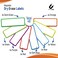 MICROLESS Microless Dry Erase Magnetic Labels 48 Pcs 6x8 32x12 inches Best for Classroom Home Kitchen Office Craft Reusable Magnetic Dry Erase Labels with Strong Adhesion in 8 Colors