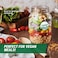 OfficeSmartLabels Vegan Stickers 2 inch Green Round 300 Labels