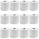 9527 Product 4x6 Direct Thermal Shipping Labels for Zebra 2844 ZP450 ZP500 ZP505Blank450 LabelsRoll 1 Core 12 Rolls