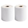 FungLam 2 Rolls 4x6 Direct Thermal Shipping Labels 250 LabelsRoll 1 Core Compatible Zebra 2844 ZP450 ZP500 ZP505