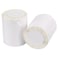 FungLam 2 Rolls 4x6 Direct Thermal Shipping Labels 250 LabelsRoll 1 Core Compatible Zebra 2844 ZP450 ZP500 ZP505