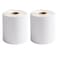 FungLam 2 Rolls 4x6 Direct Thermal Shipping Labels 250 LabelsRoll 1 Core Compatible Zebra 2844 ZP450 ZP500 ZP505