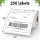 FungLam 4X6 Thermal Shipping Labels 4X6 LabelsWhite Mailing Shipping Labels Perforated 250 LabelsCompatible with iDPRT JADENS and Rollo