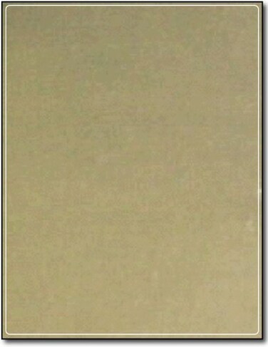 Desktop Publishing Gold Foil Label 8 14 x 10 34 for Laser Printers 10 Labels
