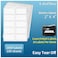 LabelMore 1000 2 x 4 Shipping Address Labels Inkjet Laser Compatible Permanent Adhesive 100 Sheets 10 Labels Each