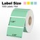 Misofuki 225 x 125 Green Direct Thermal Barcode Labels 1000 Pcs for Zebra ZD410 ZD411 LP2824 214x114 1 Roll Waterproof Strong Adhesive Perforated Return Address Labels Used with Rollo MUNBYN