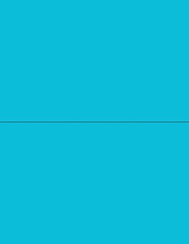NextDayLabels 812 x 11 Neon Color High Light Fluorescent Labels for Laser Inkjet Printer Blue Fluorescent 812 x 512 2 Per Page 50 Labels