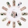 Frclona 12PCS Magnetic Bookmarks Magnet Page Markers Page Clips Assorted Book Markers Set with Exquisite Pattern Bookmarks for Women Students and Book LoversFloral Style