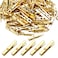 Aylifu Mini Plastic Clips 100 Pieces Utility Photo Clips Paper Pegs 35 x 05 x 07cm Gold