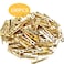 Aylifu Mini Plastic Clips 100 Pieces Utility Photo Clips Paper Pegs 35 x 05 x 07cm Gold