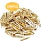 Aylifu Mini Plastic Clips 100 Pieces Utility Photo Clips Paper Pegs 35 x 05 x 07cm Gold