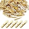 Aylifu Mini Plastic Clips 100 Pieces Utility Photo Clips Paper Pegs 35 x 05 x 07cm Gold