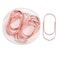 Supfoxer Rose Gold Jombo Paper Clips Topgogo 20pcs 50mm 2 inch Large Wide Paper Clips NonSkid Smooth Finish Steel Wire Medium Office Supply Accessories