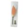 SPICE OF LIFE Feather Quill Pen Stand Holder Ballpen Set OfficeSchool Accessories
