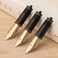 Asvine 3 PCS Fountain Pen Replaced Nibs 6 Gold Plated EF Nib V169 P20 P30 and V126