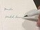 Mildliner Zebra highlighter Brush pen 25 Pastel Color set with Original Pen Case