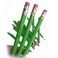 Wooden Shoe Designs Offensive Profanity Funny Curse Pencils Words Offensive Pencils