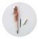 Smartprints Homeorganizer Tech Wood Cartoon Pens Ballpoint Gel Ink Writing Pen Office School Students Pen Zoo Animals Collection Great Affordable Gift For Kids and Adults Squirrel