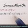 Sarasa Clip Zebra Sarasa Mark on Gel Ink 05mm Ballpoint Pens Ink ColorBlackBlueRed