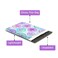 Pro Supply 10x13 100 Sand Dollar Designer Poly Mailers Waterproof Self Sealing Tear Resistant Polymailers Shipping Envelopes Premium Printed Bags For Small Businesses