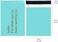 RUSPEPA Poly Mailer Shipping Bag with Self Sealing Business Text Printed Design 23 Mil Heavy Duty Self Seal Mailing Envelopes 100 Pack 10 x 13 inches Mint